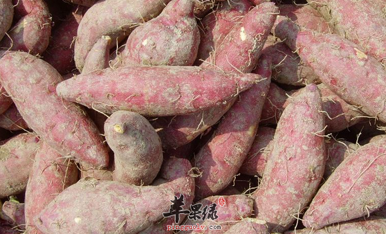 食用红薯有哪些禁忌需要知道呢