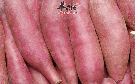 食用红薯有哪些禁忌需要知道呢