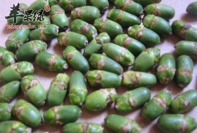 吃槟榔的好处与坏处帮你了解槟榔 苹果绿 吃槟榔的好处与坏处帮你了解槟榔 苹果绿
