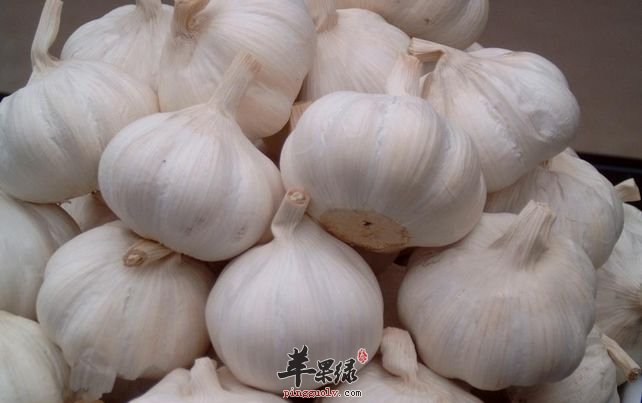 大蒜应该怎么吃 这样吃大蒜很养生