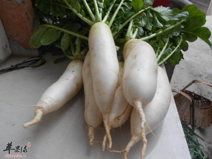 吃白萝卜的禁忌 这些情况要重视