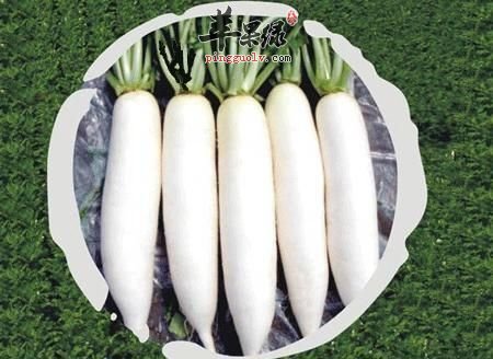 白萝卜存在搭配禁忌 不能和白萝卜同吃的食物