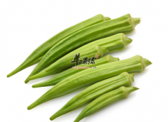 保健蔬菜黄秋葵都有
