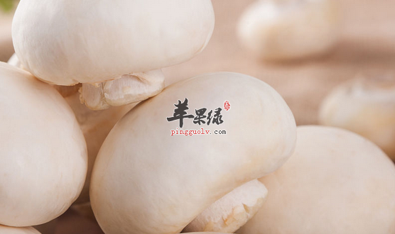 两种口蘑的美味吃法推荐