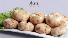 口蘑怎么做比较美味