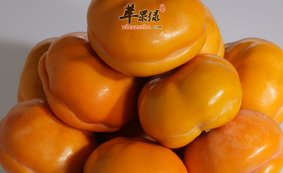 柿子的食用禁忌都有哪些呢
