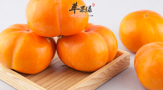 柿子的食用禁忌都有哪些呢