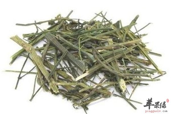 穿心莲的药用小偏方你是否了解了呢,穿心莲的养生保健功效是比较强大