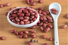 四类人群不宜食用花