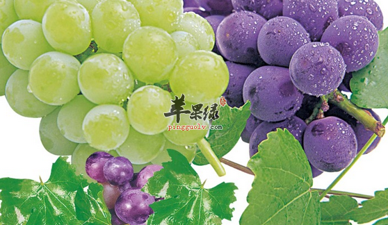 葡萄的食疗偏方都有哪些呢