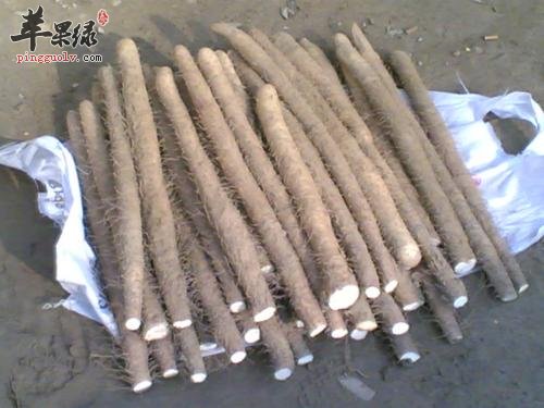 山药的治病疗方有哪些呢