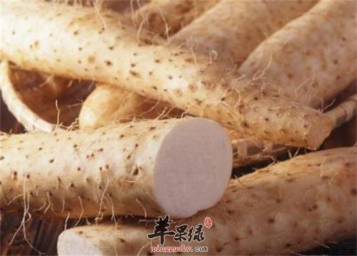 山药的治病疗方有哪些呢