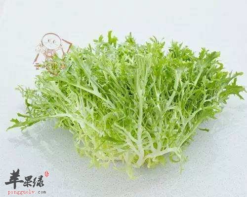 秋季吃什么食物 推荐吃这些防止上火