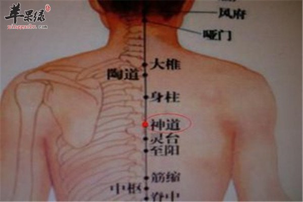 灵台穴在哪 有什么样的功效