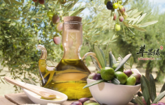 有關橄欖油的保健用途解說