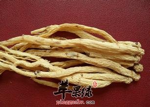 党参和沙参的区别 教你区分两者区别