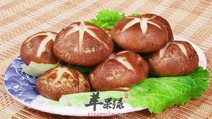 吃香菇的好处多 教你挑选香菇的方法