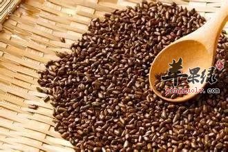 决明子的副作用和禁忌人群