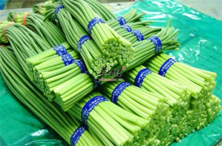 食用蒜薹需要很好注意的事情