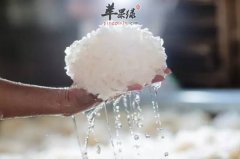 如何选购银耳 要选择