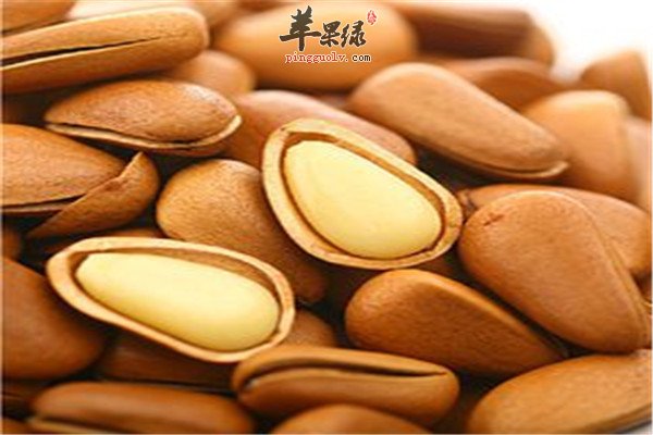松子的这些好处你了解吗