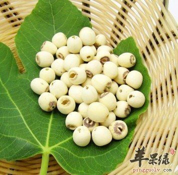 秋季怎么吃 这几类食物很不错