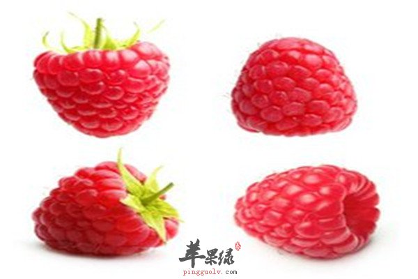 树莓11.jpg