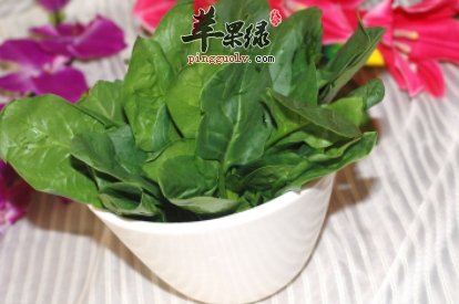 吃菠菜好处多 小心菠菜的搭配禁忌