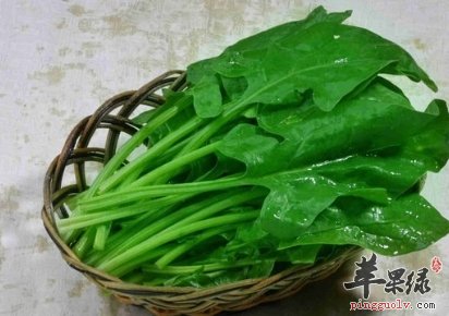 吃菠菜好处多 小心菠菜的搭配禁忌