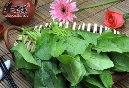 菠菜功效出色 注意吃菠菜的搭配禁忌