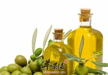 橄榄油和甘油的区别是什么