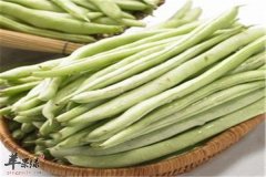 食用四季豆的几大注