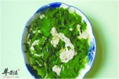 菊花脑是什么 有什么