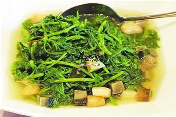 菊花脑1.jpg