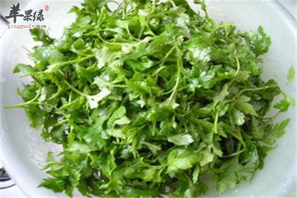 菊花脑2.jpg