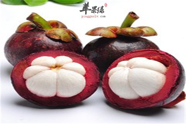 山竹9.jpg