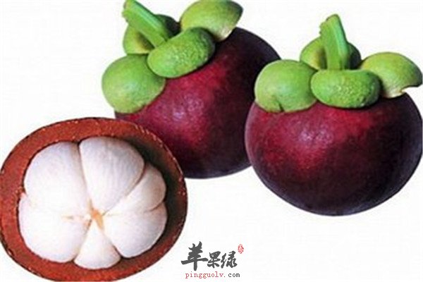 山竹7.jpg
