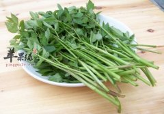 糖尿病可以吃芹菜吗