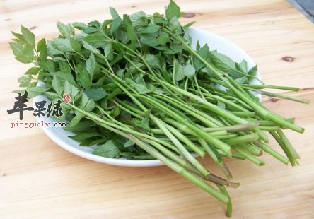 糖尿病可以吃芹菜吗 都有哪些好处