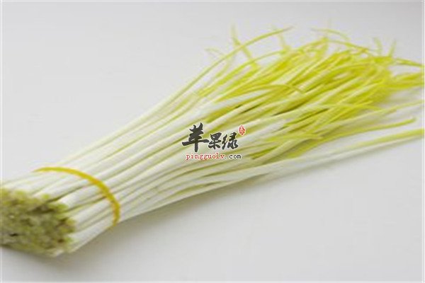 蒜黄3.jpg