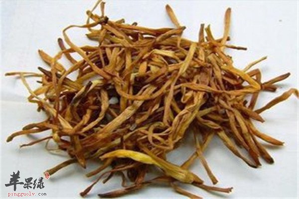 黄花菜.jpg