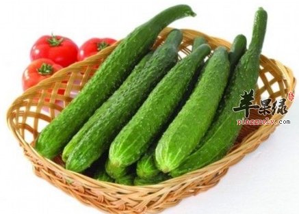 黄瓜存在饮食禁忌 不能这样吃黄瓜