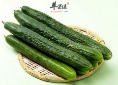 黄瓜营养出色也有禁忌 注意吃法