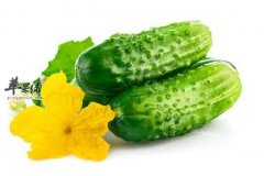 黄瓜生吃好还是熟吃好 哪种吃法健康