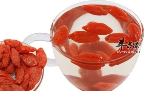 枸杞每天吃多少 小心枸杞的这些禁忌