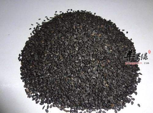 黑芝麻如何挑选 常吃黑芝麻很不错