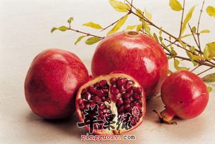 哪些食物不能够和石榴一起食用