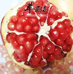 哪些食物不能够和石榴一起食用