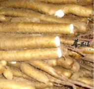 山药的治病疗方有哪些