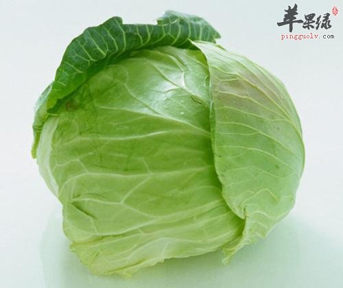 圆白菜的保健功效有哪些